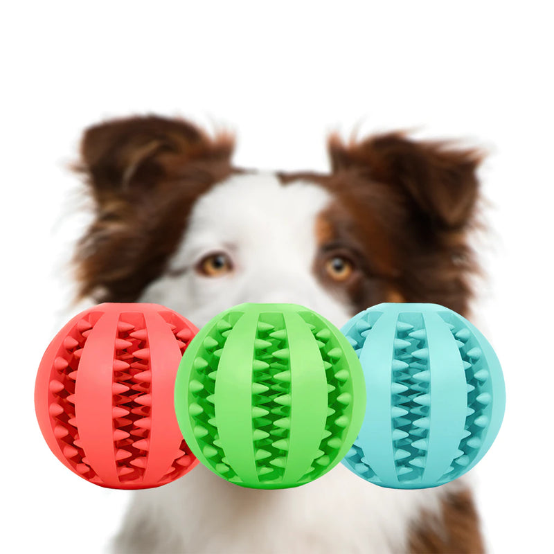 Treat Toy